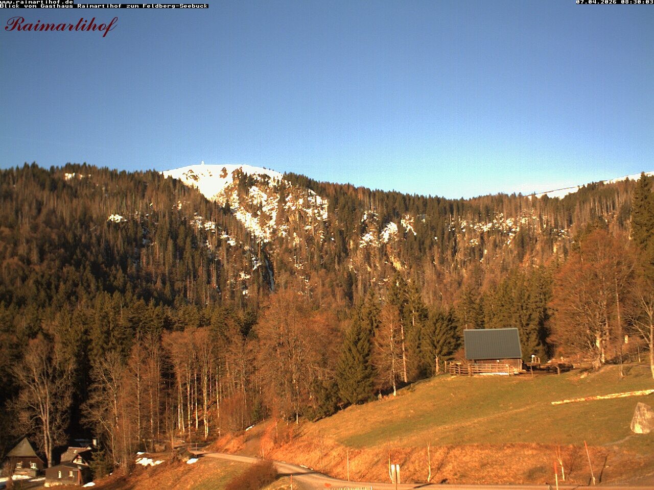 Archived image Webcam Raimartihof - Feldberg Seebuck