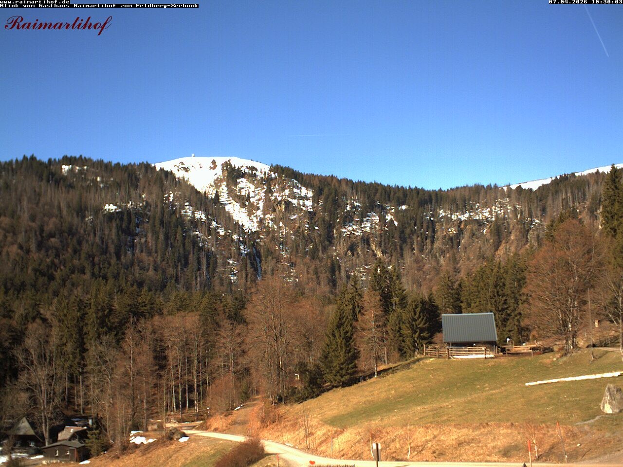 Archived image Webcam Raimartihof - Feldberg Seebuck