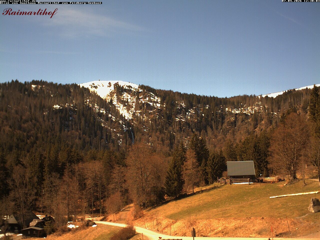 Archived image Webcam Raimartihof - Feldberg Seebuck