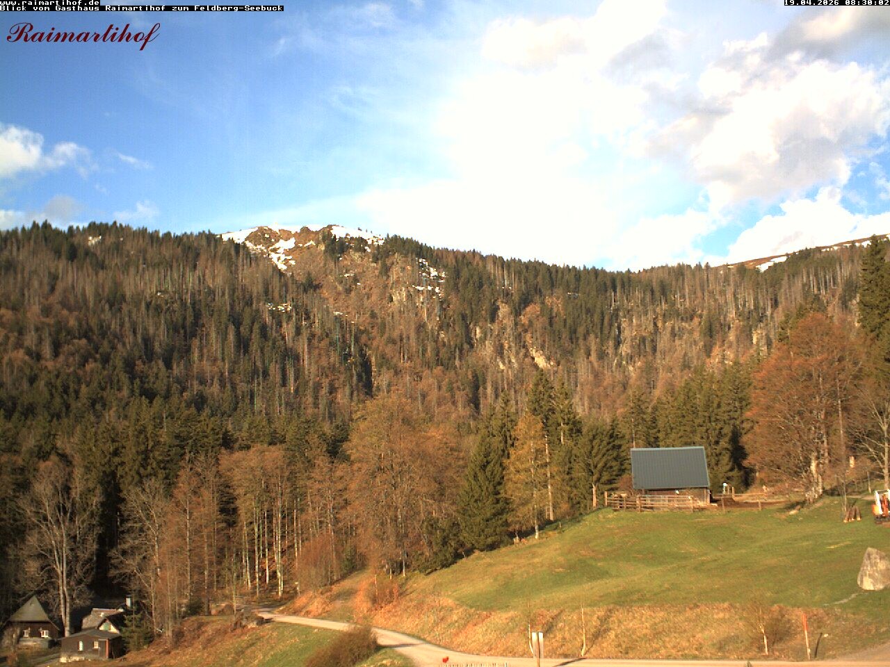 Archiv Foto Webcam Feldberg Raimartihof