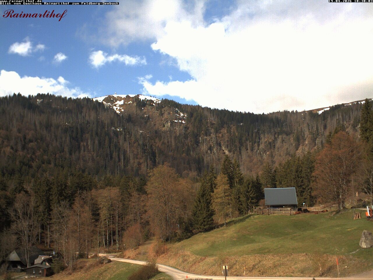 Archiv Foto Webcam Feldberg Raimartihof