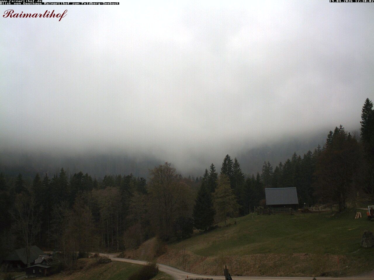 Archiv Foto Webcam Feldberg Raimartihof