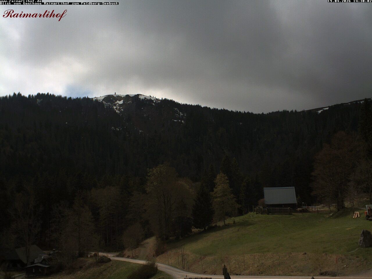 Archiv Foto Webcam Feldberg Raimartihof