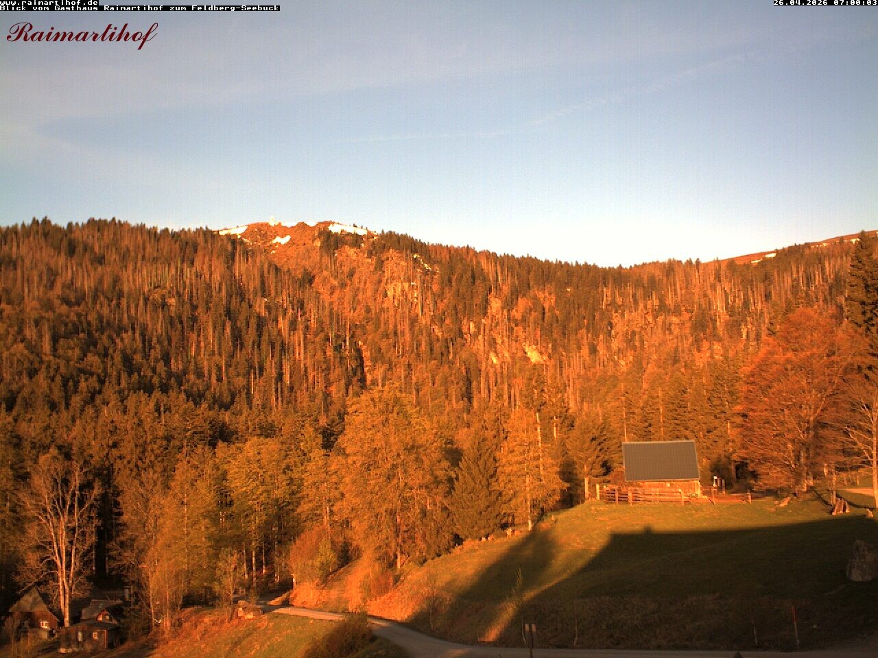 Archiv Foto Webcam Feldberg Raimartihof