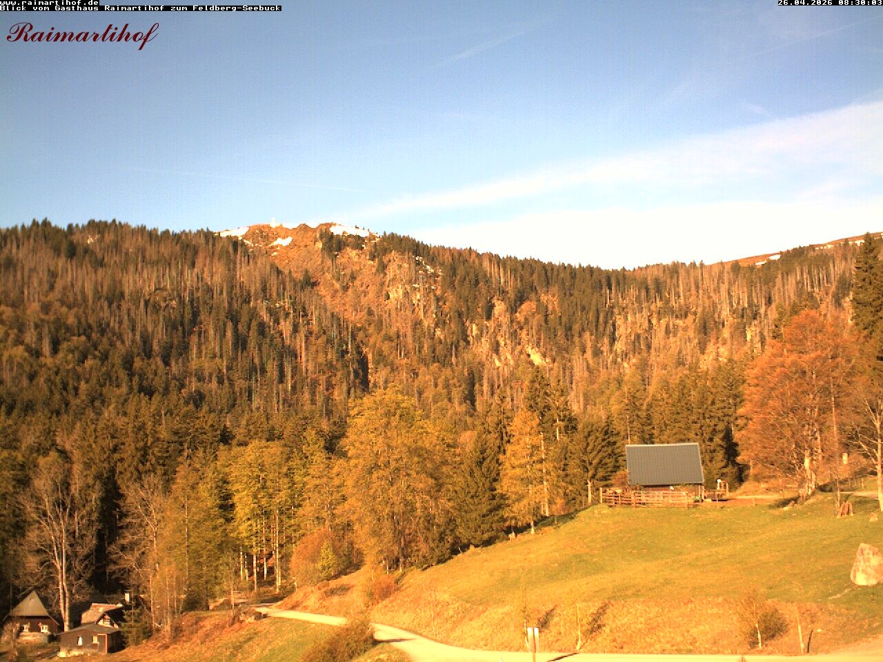 Archiv Foto Webcam Feldberg Raimartihof