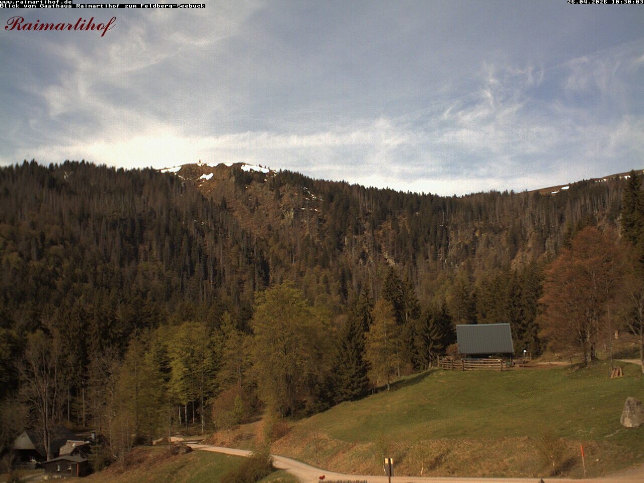 Archiv Foto Webcam Feldberg Raimartihof