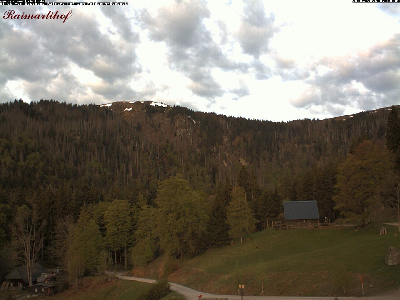 Archiv Foto Webcam Feldberg Raimartihof