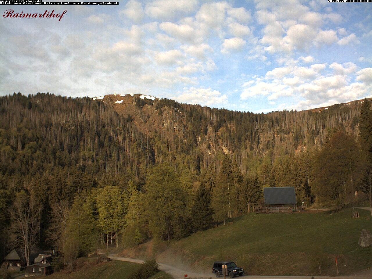 Archiv Foto Webcam Feldberg Raimartihof
