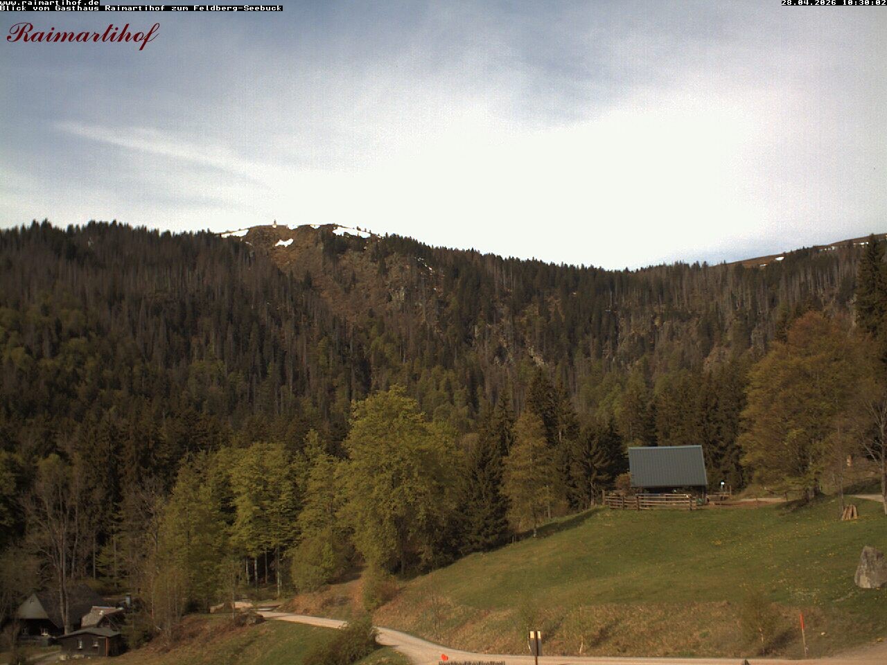 Archiv Foto Webcam Feldberg Raimartihof