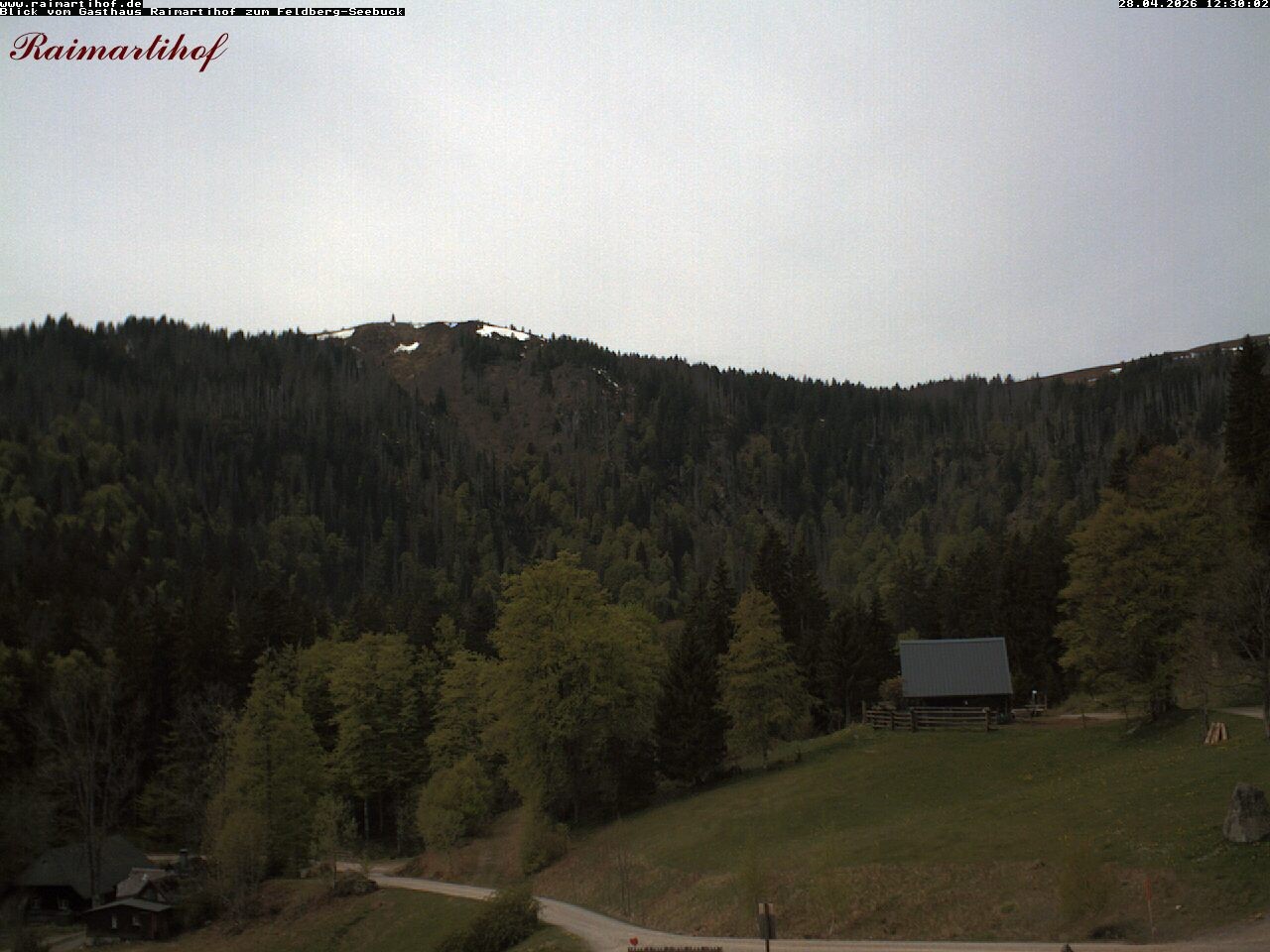 Archiv Foto Webcam Feldberg Raimartihof