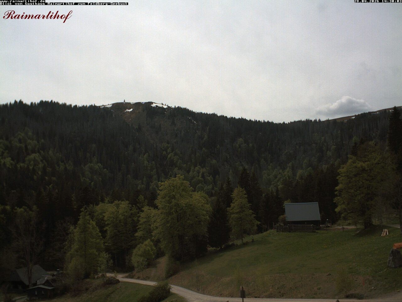 Archiv Foto Webcam Feldberg Raimartihof