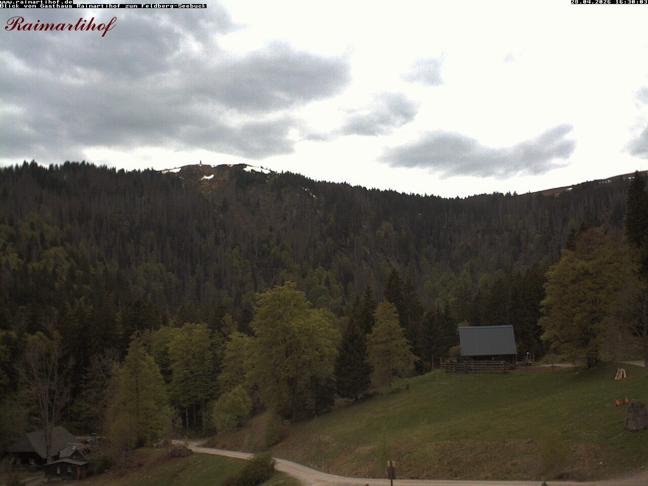 Archiv Foto Webcam Feldberg Raimartihof