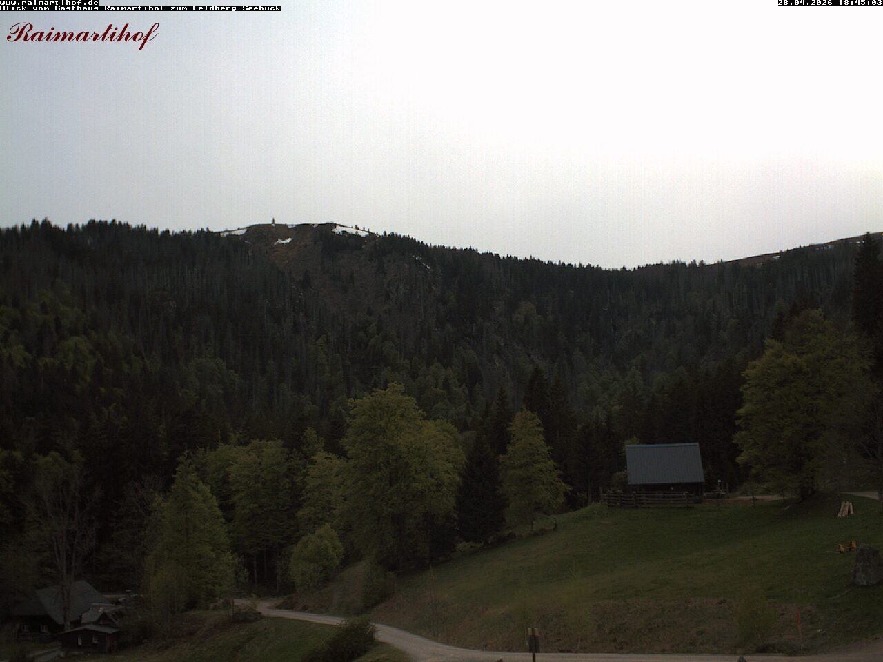 Archiv Foto Webcam Feldberg Raimartihof