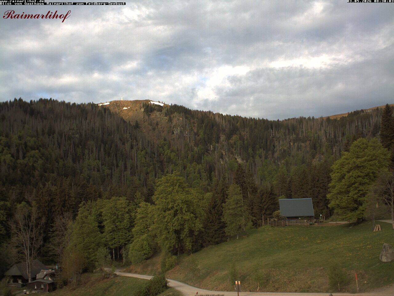 Archived image Webcam Raimartihof - Feldberg Seebuck