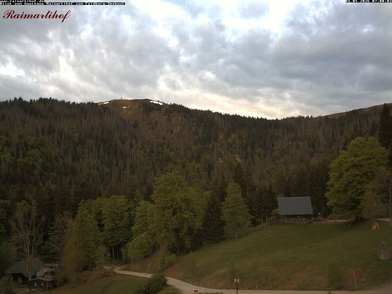 Archiv Foto Webcam Feldberg Raimartihof