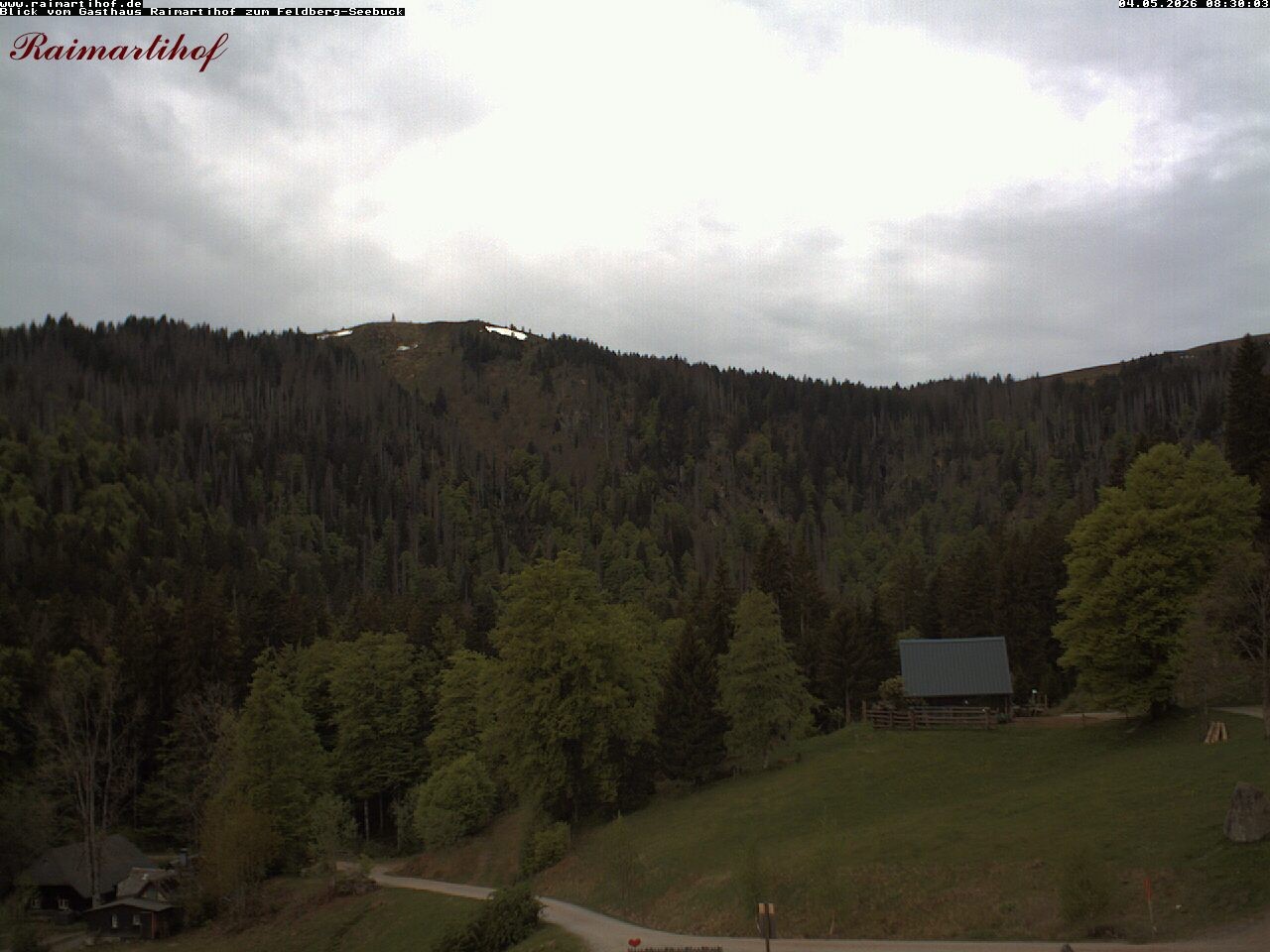 Archiv Foto Webcam Feldberg Raimartihof