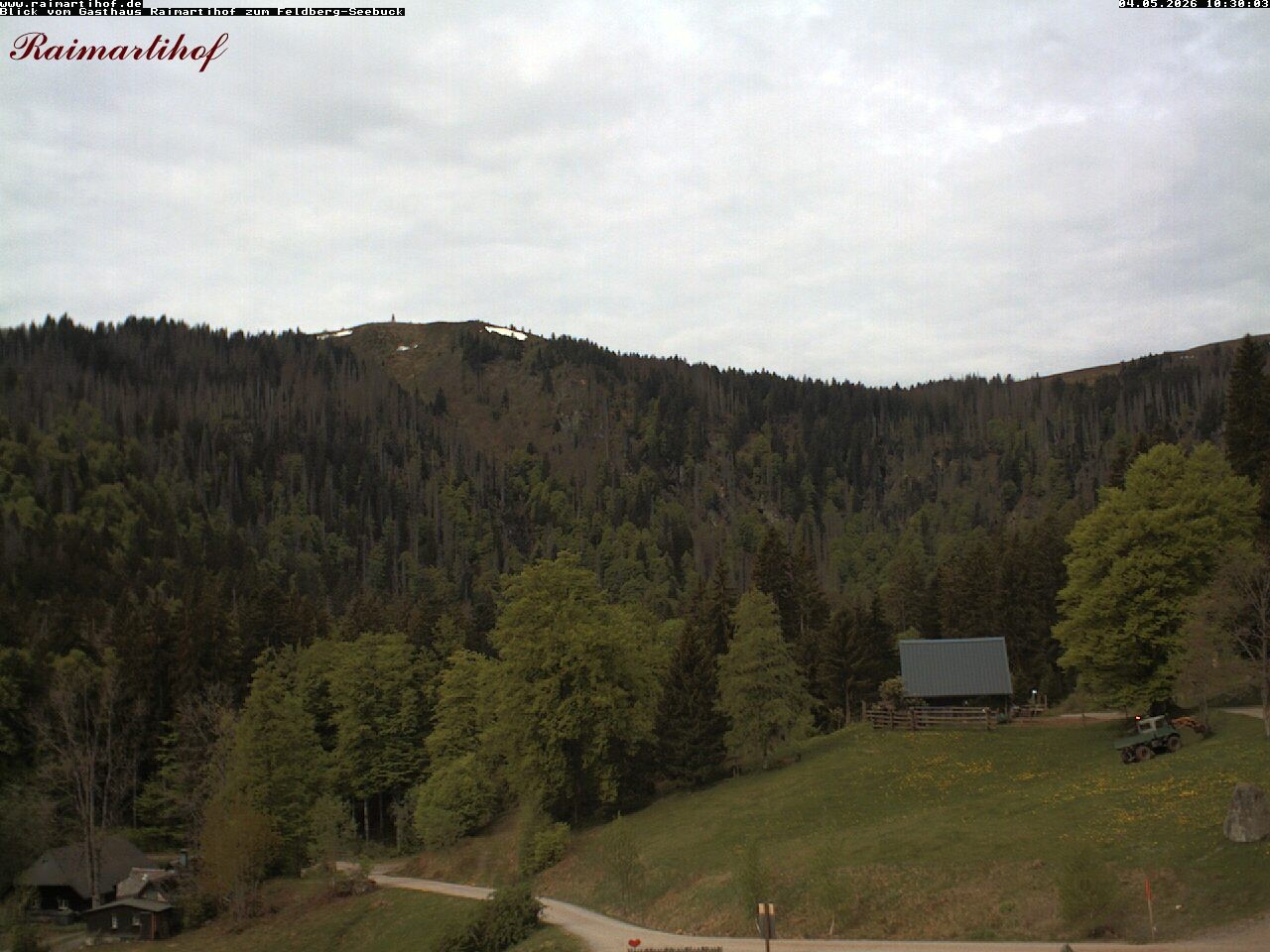 Archiv Foto Webcam Feldberg Raimartihof