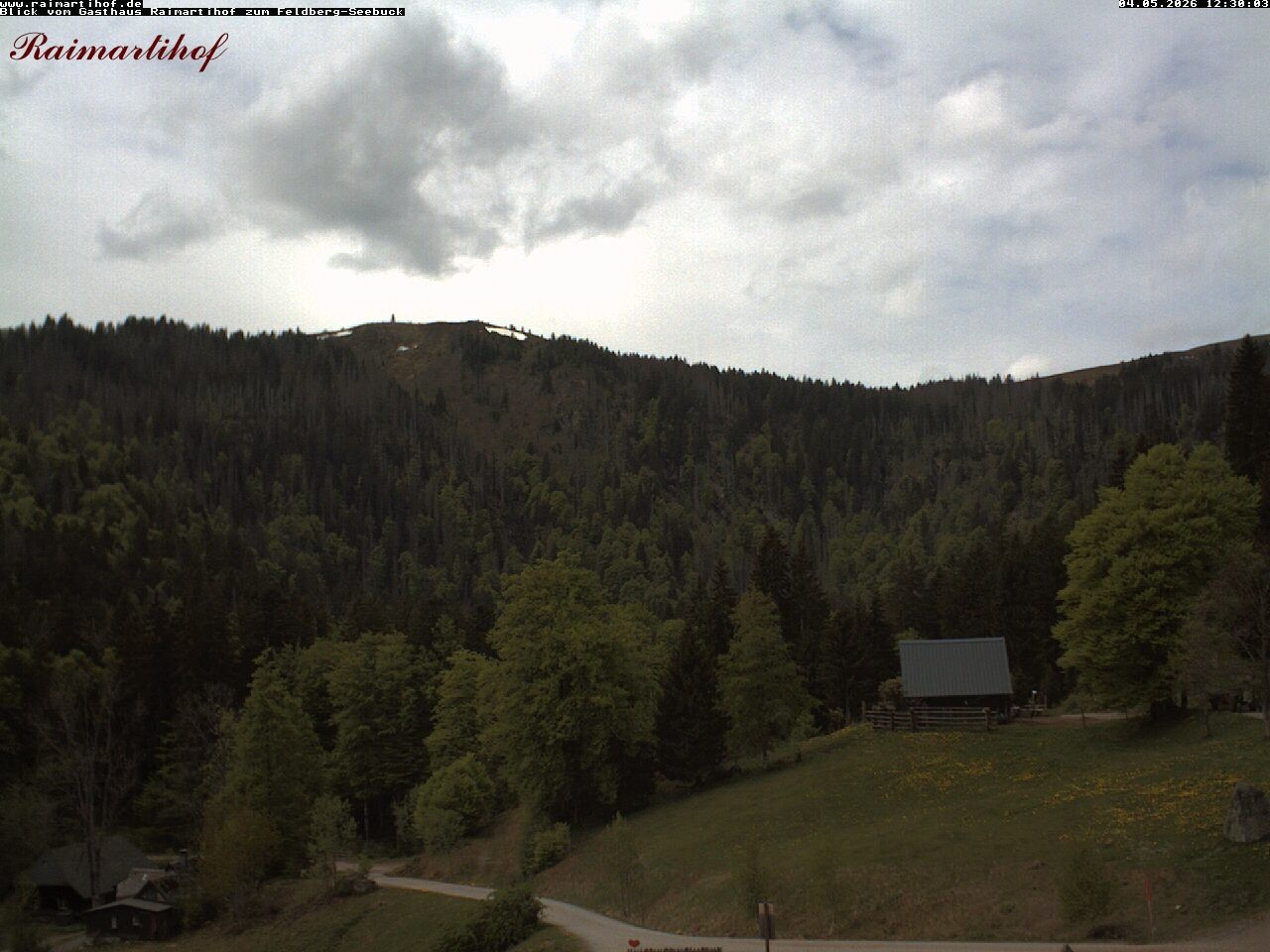 Archiv Foto Webcam Feldberg Raimartihof