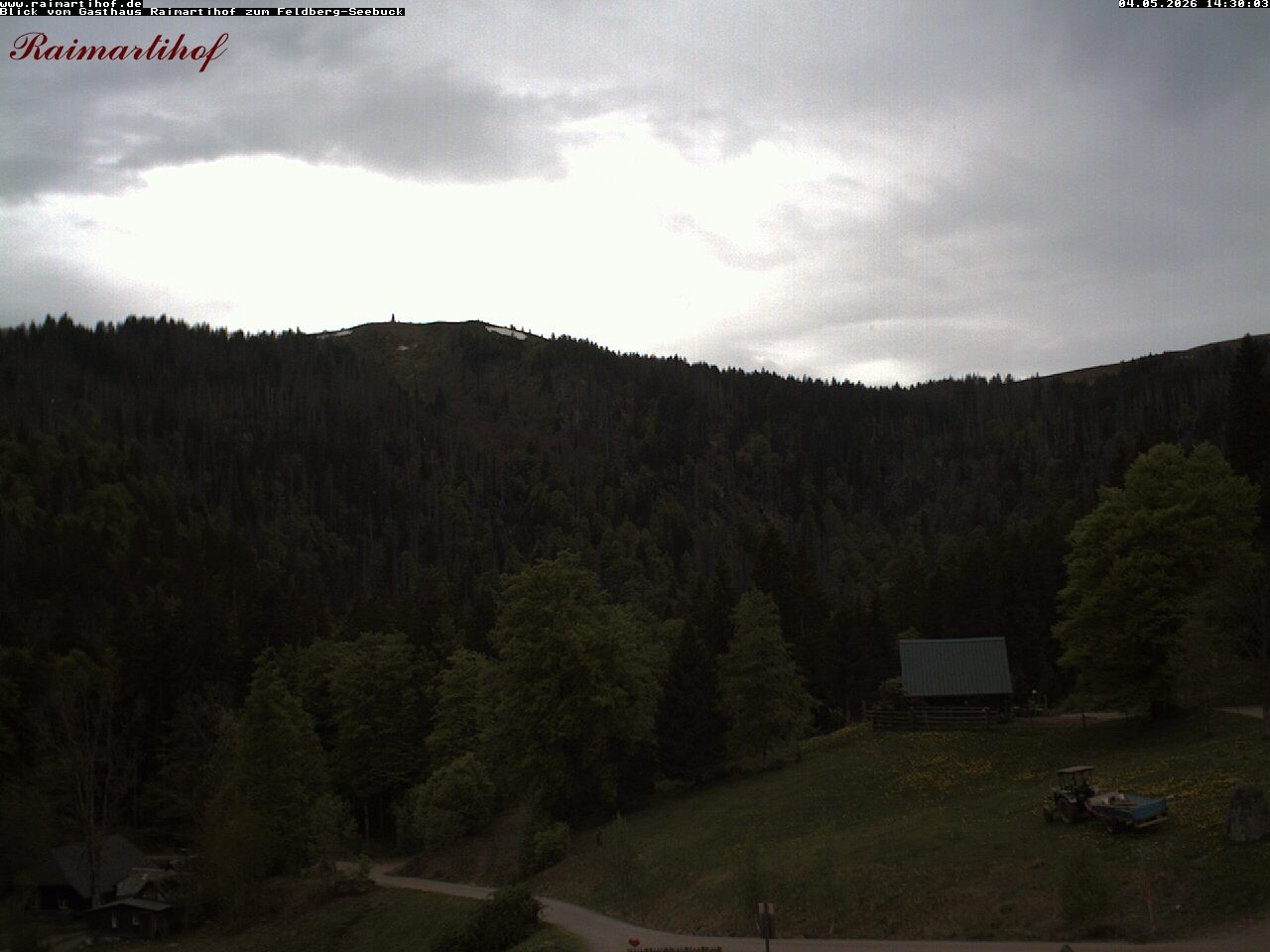 Archiv Foto Webcam Feldberg Raimartihof