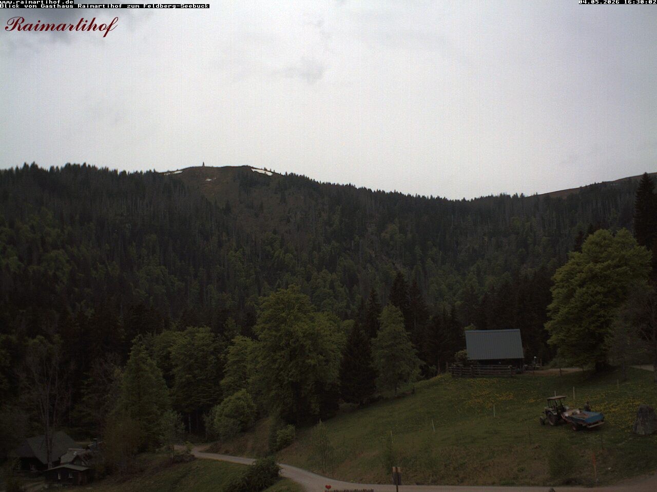 Archiv Foto Webcam Feldberg Raimartihof