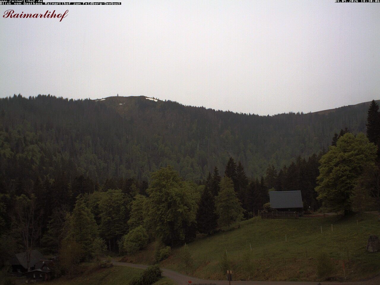 Archiv Foto Webcam Feldberg Raimartihof