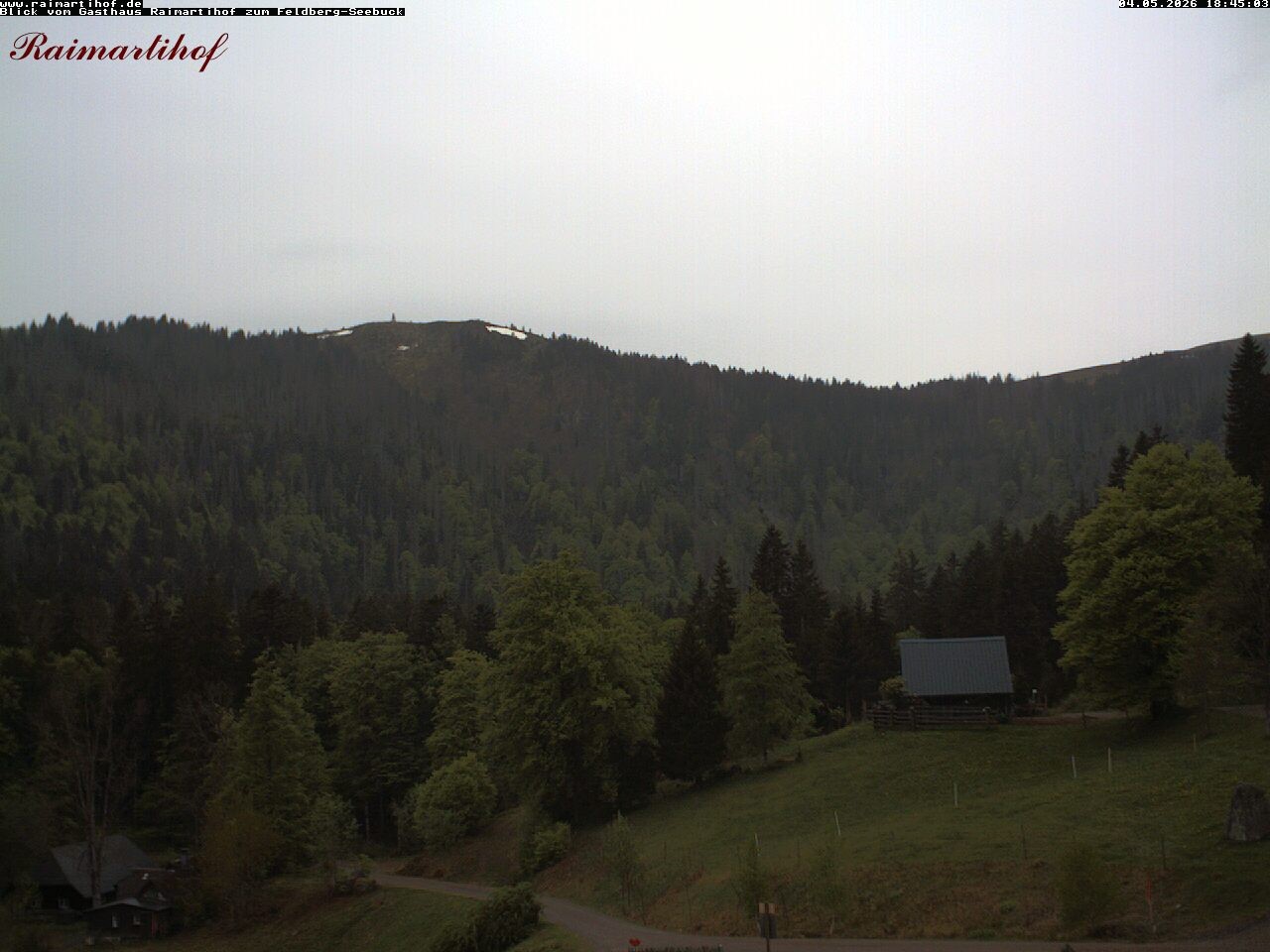 Archiv Foto Webcam Feldberg Raimartihof