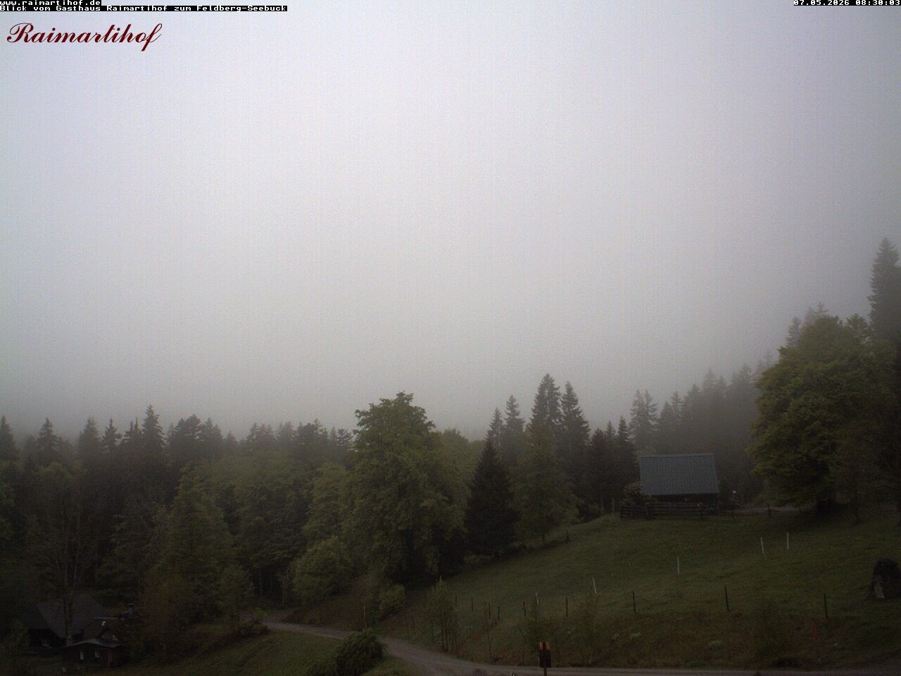 Archiv Foto Webcam Feldberg Raimartihof
