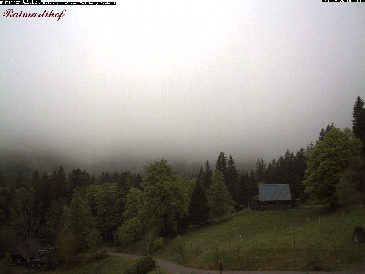 Archiv Foto Webcam Feldberg Raimartihof