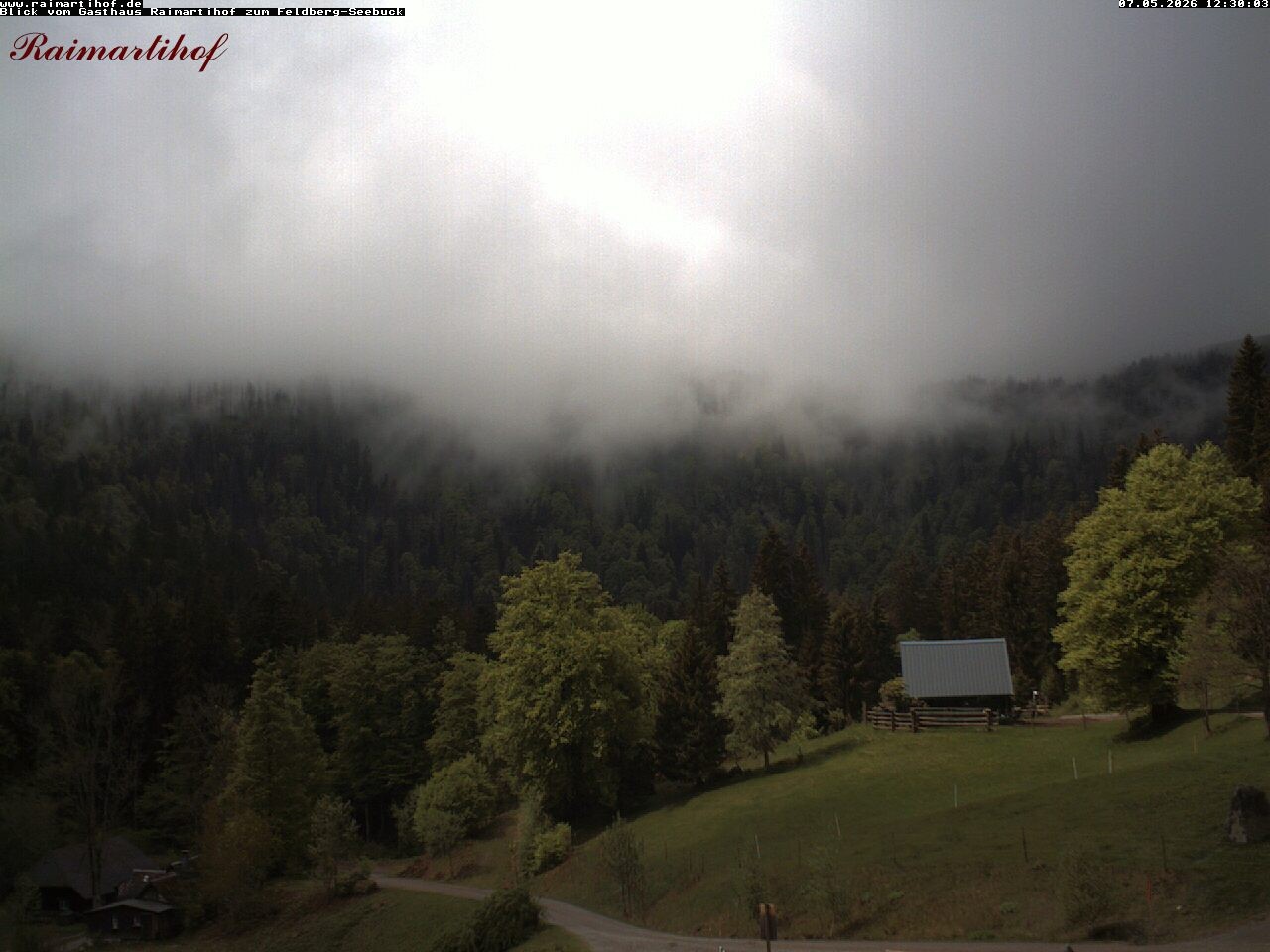 Archiv Foto Webcam Feldberg Raimartihof