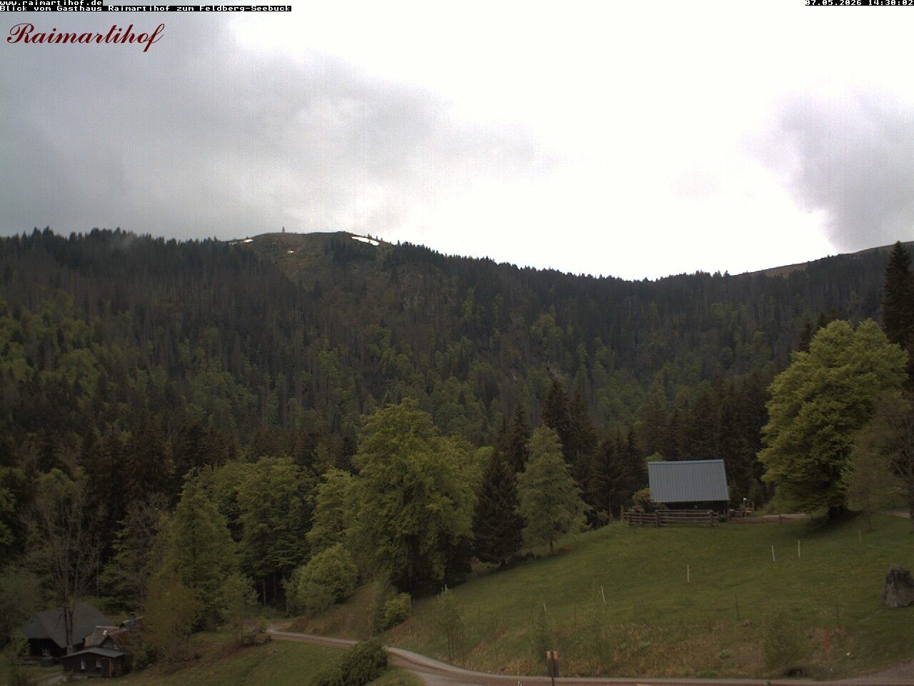 Archiv Foto Webcam Feldberg Raimartihof