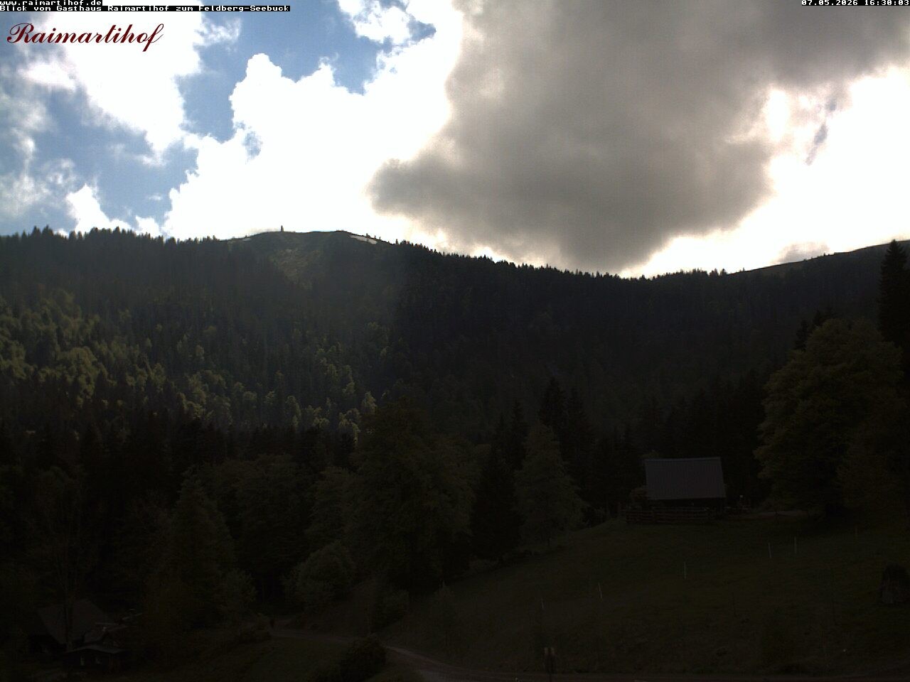 Archiv Foto Webcam Feldberg Raimartihof