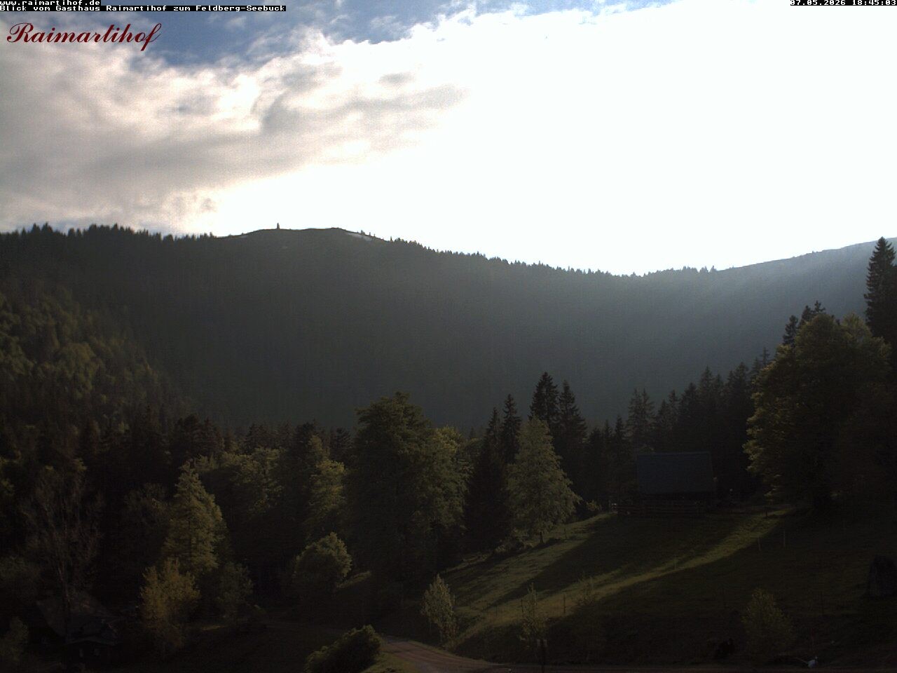Archiv Foto Webcam Feldberg Raimartihof