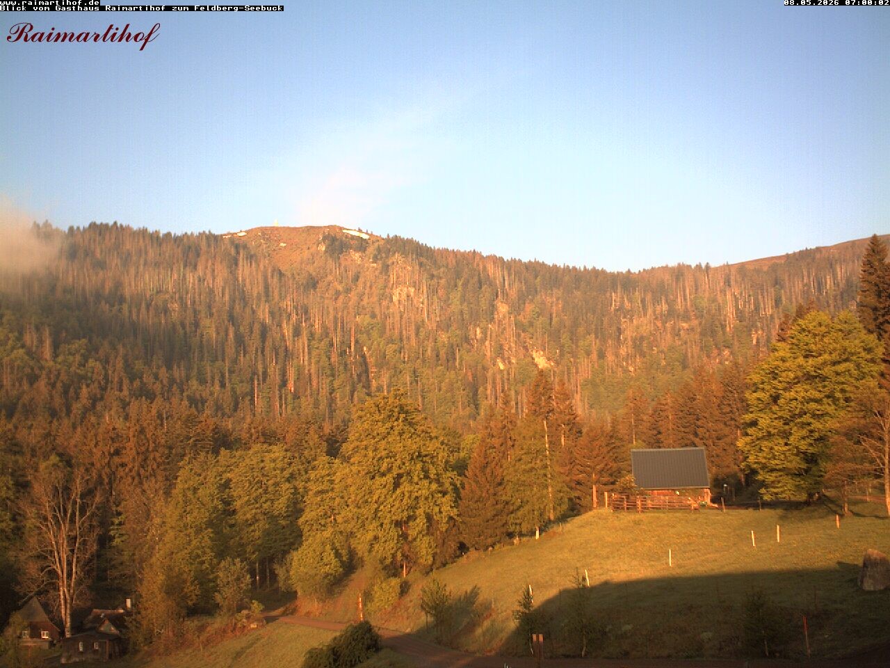 Archived image Webcam Raimartihof - Feldberg Seebuck