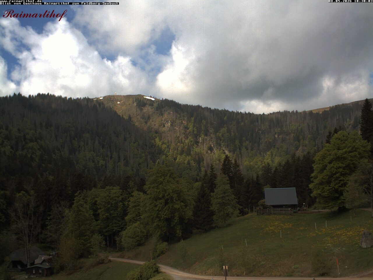 Archived image Webcam Raimartihof - Feldberg Seebuck