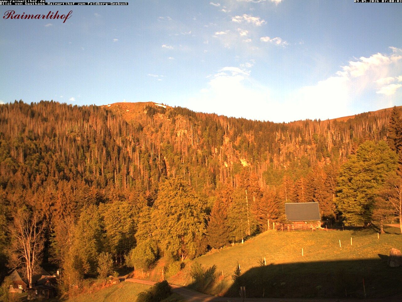 Archiv Foto Webcam Feldberg Raimartihof