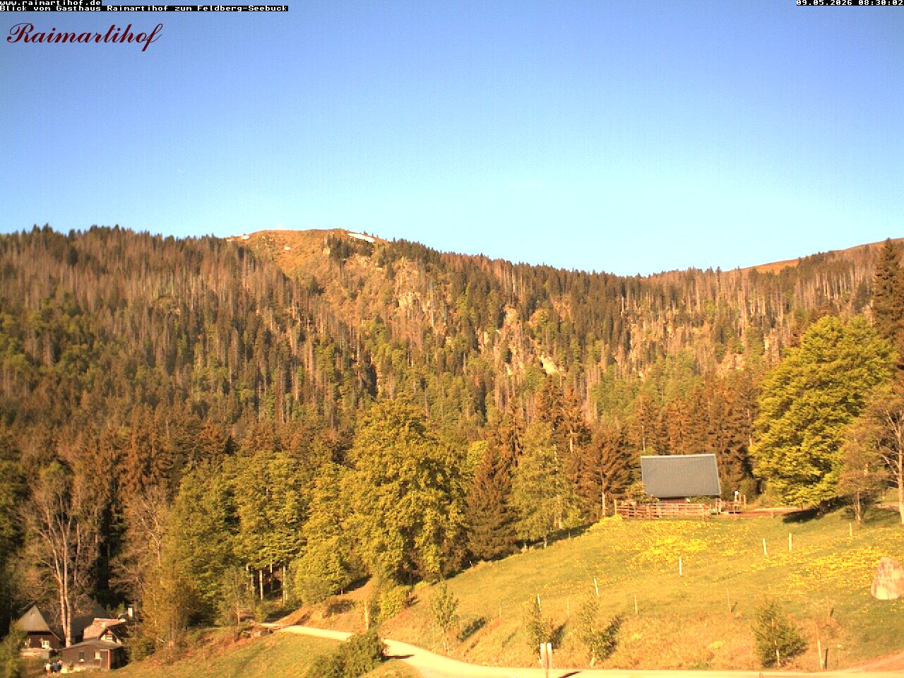Archiv Foto Webcam Feldberg Raimartihof