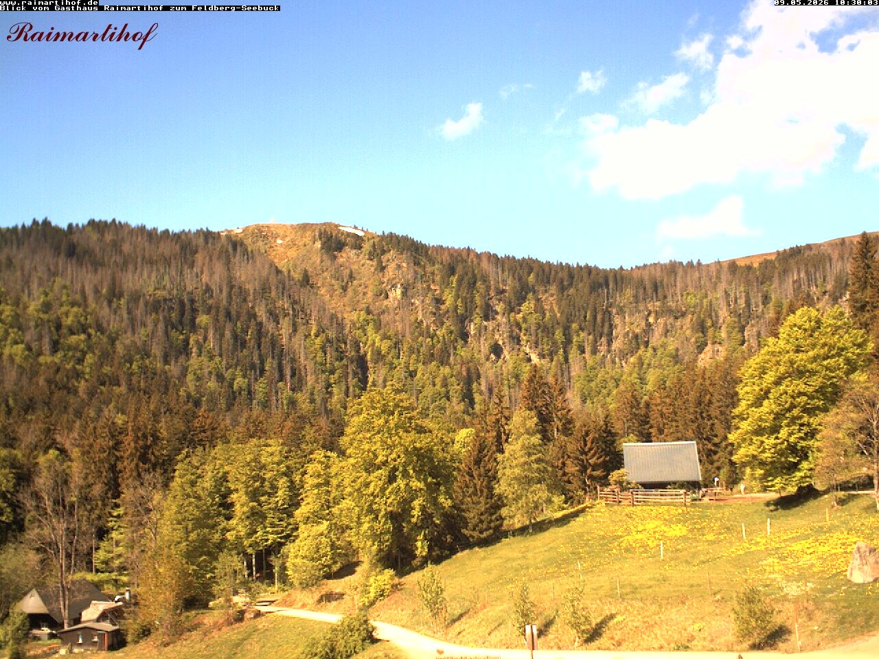 Archiv Foto Webcam Feldberg Raimartihof