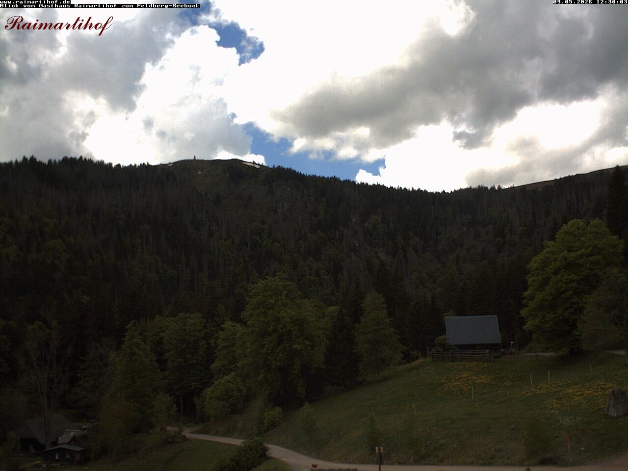 Archiv Foto Webcam Feldberg Raimartihof