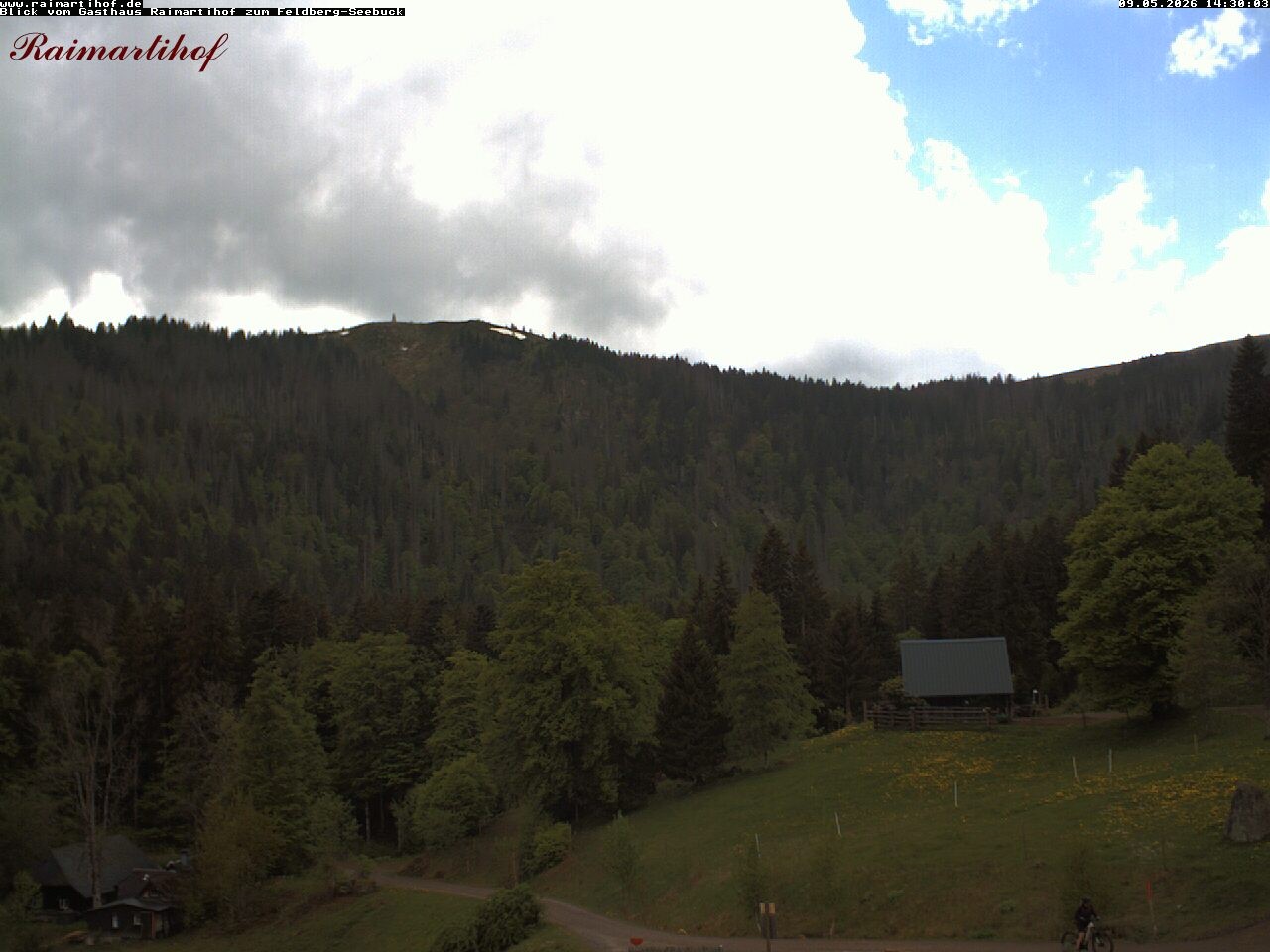Archiv Foto Webcam Feldberg Raimartihof