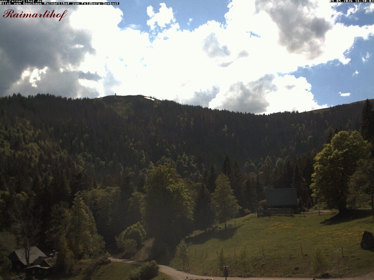 Archiv Foto Webcam Feldberg Raimartihof
