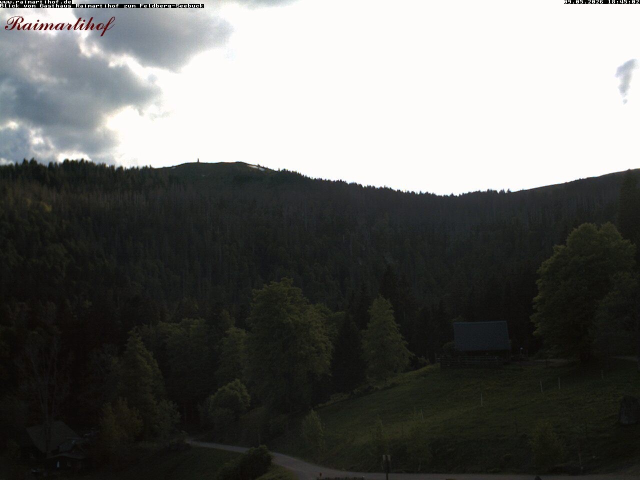 Archiv Foto Webcam Feldberg Raimartihof