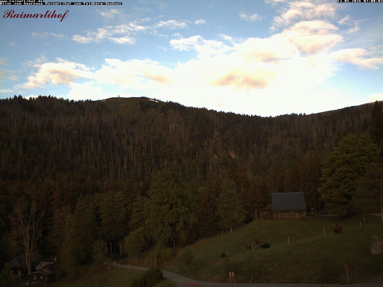Archiv Foto Webcam Feldberg Raimartihof