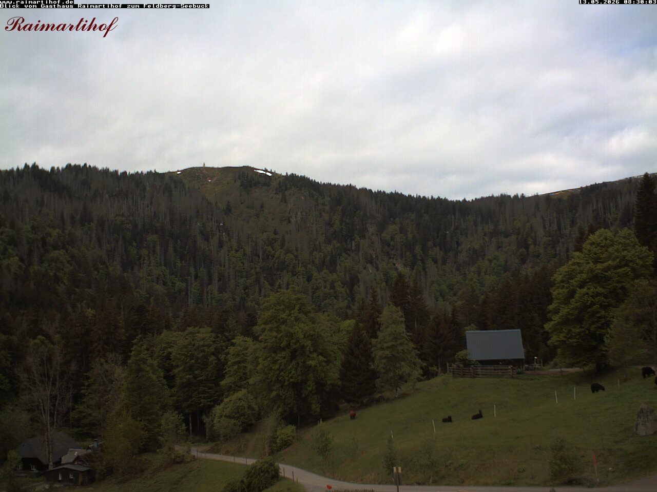 Archiv Foto Webcam Feldberg Raimartihof