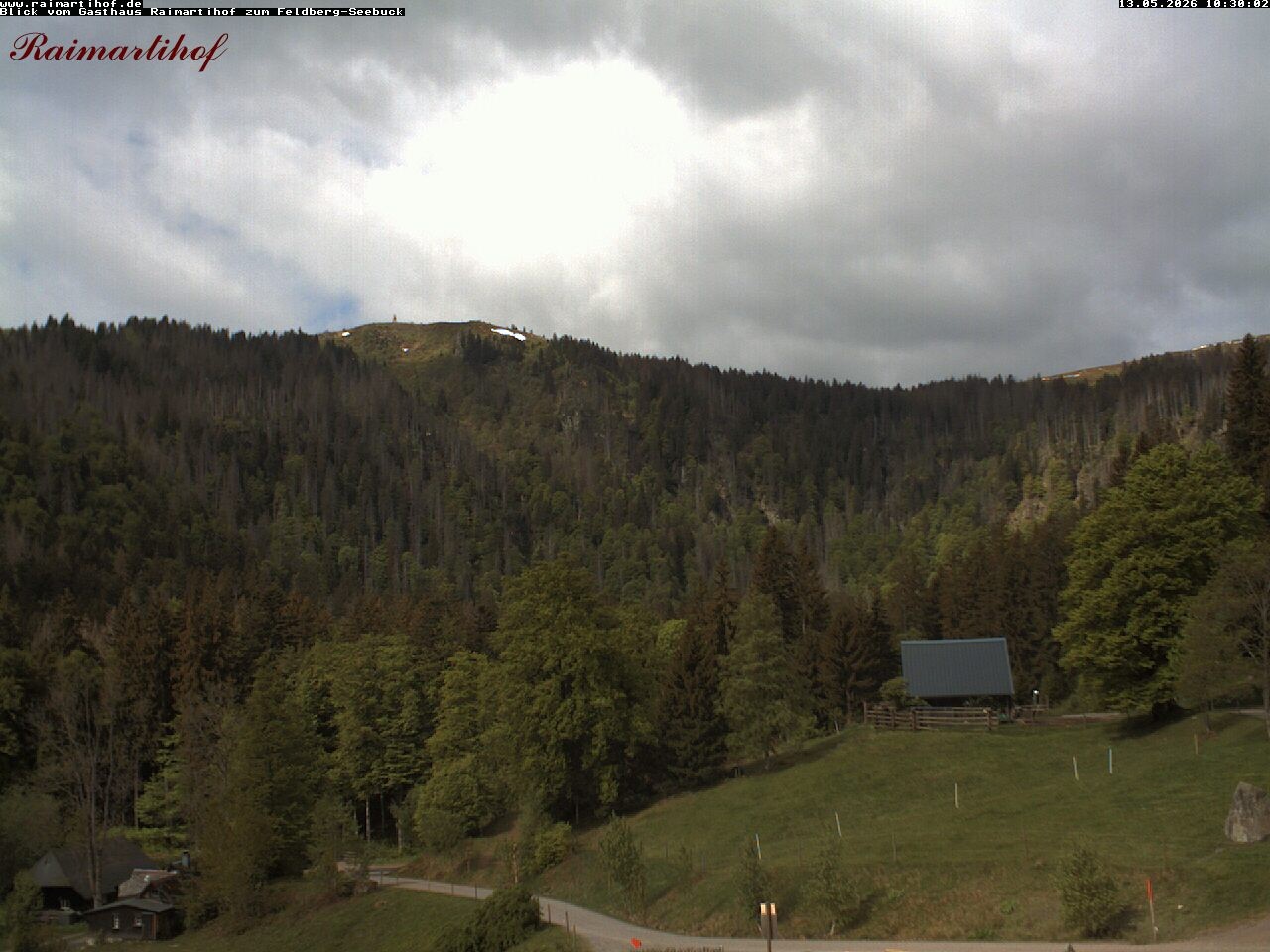 Archiv Foto Webcam Feldberg Raimartihof