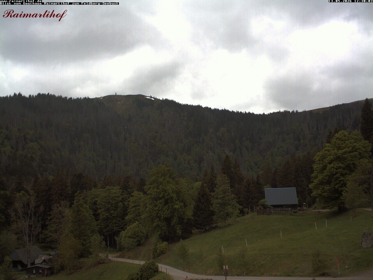 Archiv Foto Webcam Feldberg Raimartihof