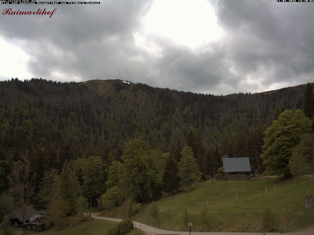 Archiv Foto Webcam Feldberg Raimartihof