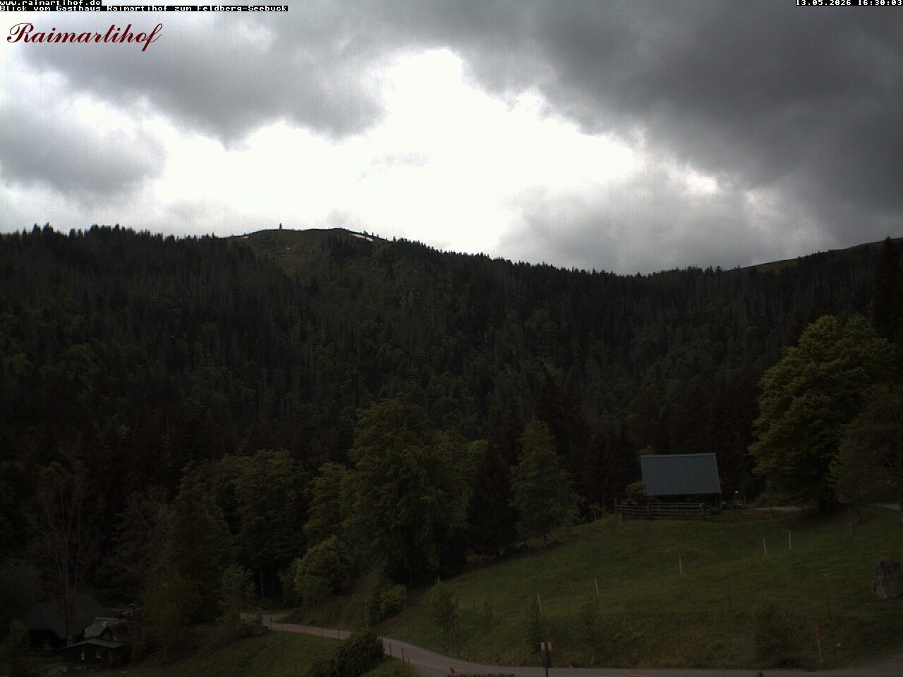 Archiv Foto Webcam Feldberg Raimartihof