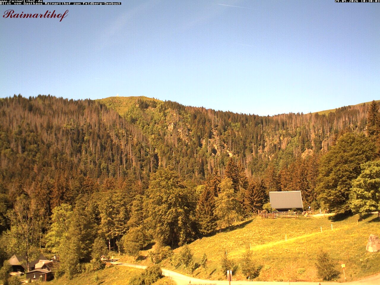 Archiv Foto Webcam Feldberg Raimartihof