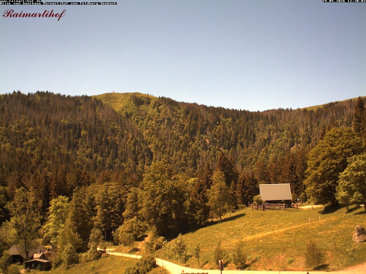Archiv Foto Webcam Feldberg Raimartihof