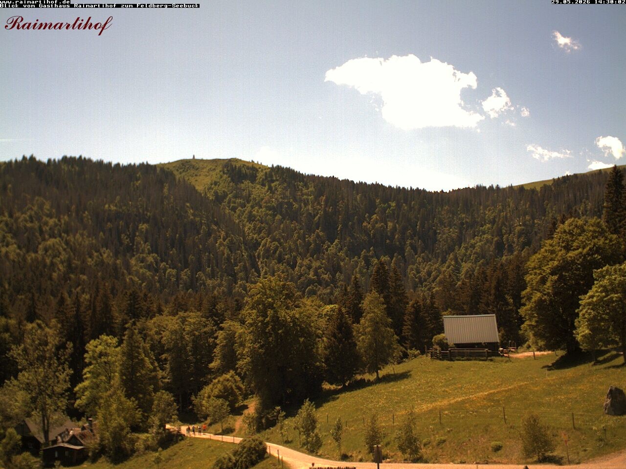 Archiv Foto Webcam Feldberg Raimartihof